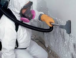 Best Emergency Mold Remediation in USA